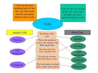 PPT Cells Cells Cells Cells Cells PowerPoint Presentation Free