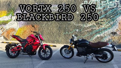 Italika Vort X Vs Italika Blackbird Duelo De Gemelas Chinas