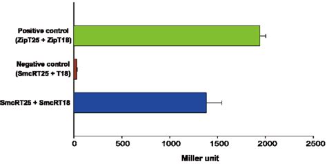 Fig. S1. In vivo dimerization of SmcR. The ability of SmcR to dimerize ... 