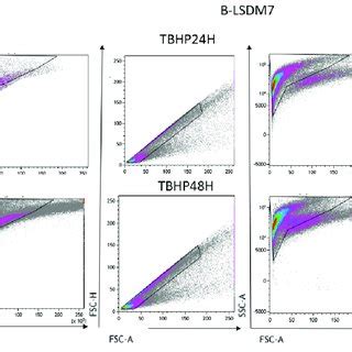 The Detection Of Reactive Oxygen Species ROS Through Flow Cytometric