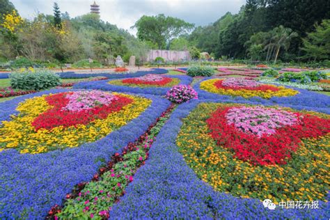 一头扎进花花世界，2021粤港澳大湾区深圳花展今日开幕深圳市造源景观旅游规划设计有限公司