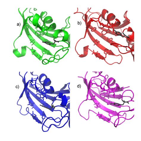 Topology Of The Binding Pocket In Different Structures Of Mip And