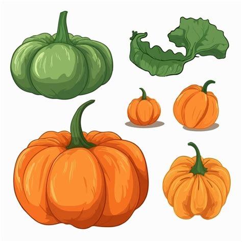 Imagen Vectorial De Una Calabaza Con Una Superficie Texturizada Para Un