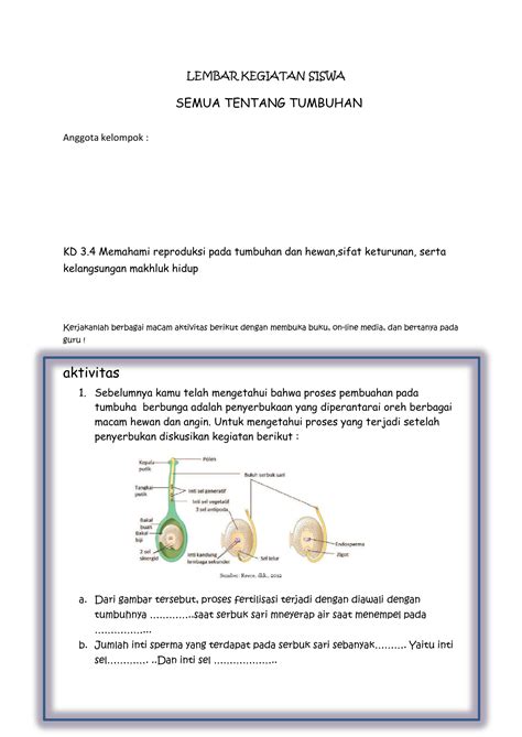 Gambar Siklus Hidup Tumbuhan Gymnospermae Gambar Gambar Tumbuhan