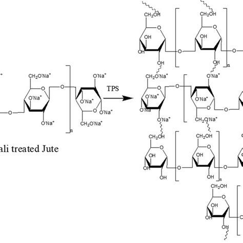 A Schematic Representation Of Bonding Between Alkali Treated Cellulose