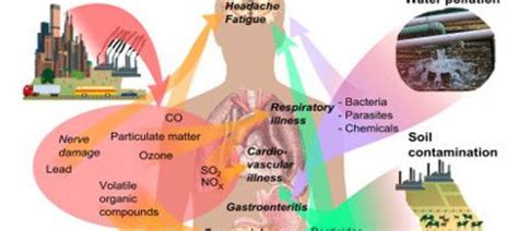 Persistant Organic Pollutants – plasticisrubbish