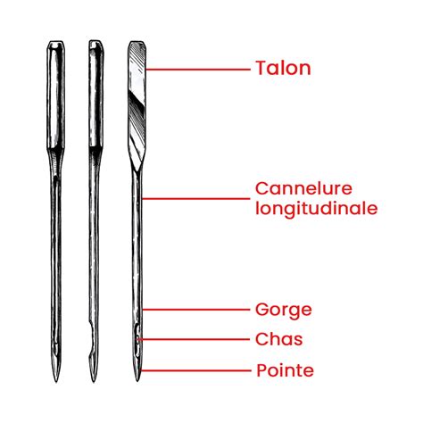 Comment Choisir Vos Aiguilles De Machine Coudre Singer France