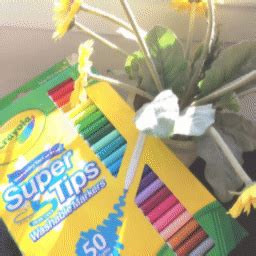 Review On Crayola Supertips 🖊 | Studying Amino Amino