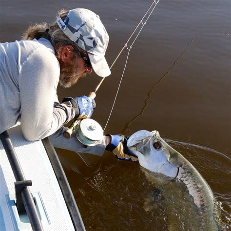 Boca Grande Fishing Report 11-29-2015 - Florida Tarpon Fishing Charters