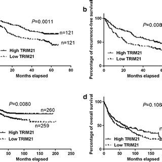 Reduced Expression Of Trim Is Associated With Poor Prognosis Of