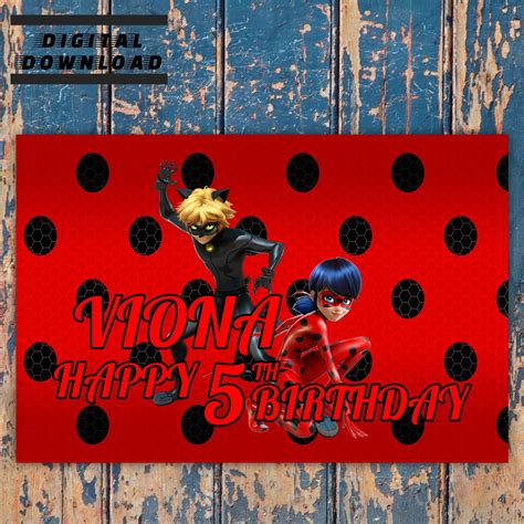 Miraculous Ladybug Birthday Backdrop Personalized Birthday Backdrop