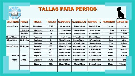 TABLA DE MEDIDAS Pdf PARA PERROS DE TODAS LAS RAZAS Escalando Los