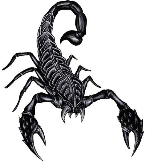 Top 79+ realistic scorpion tattoo best - in.coedo.com.vn