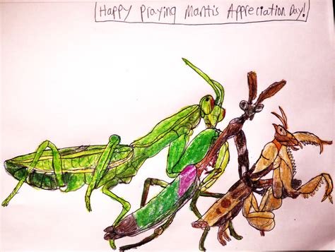 Praying Mantis Appreciation Day By Sabreleopard On Deviantart