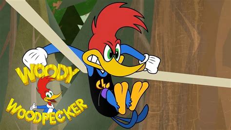 Woody And Wally Compete In The Forest Woody Woodpecker Youtube