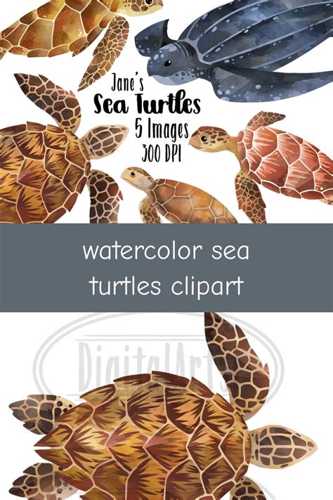 Sea Turtles Clipart