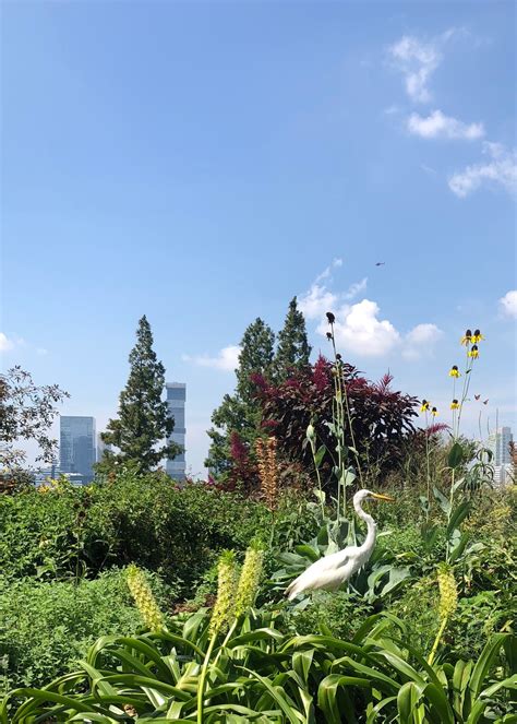 Find Your Adventure - New NYS Birding Trail Locations, trails, and more