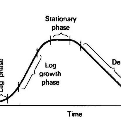 Typical Growth of curve i).The Lag Phase The lag phase represents the ...