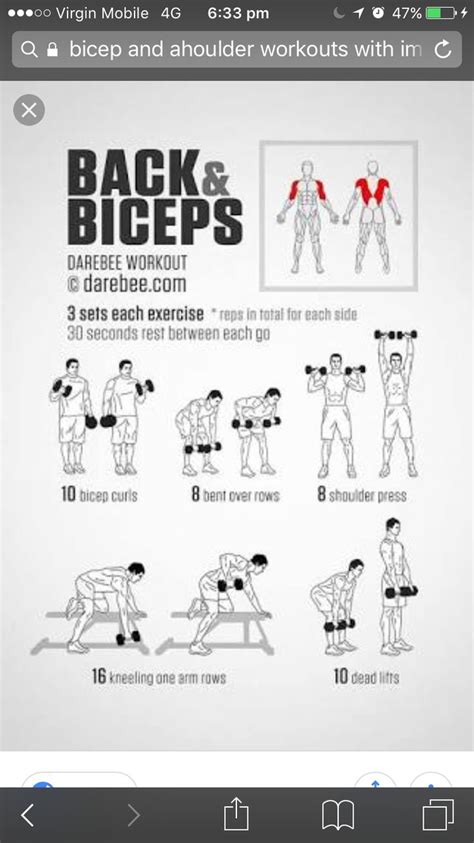 Back And Bicep 1 Back And Bicep Workout Dumbbell Workout Plan Bicep Workout Routine