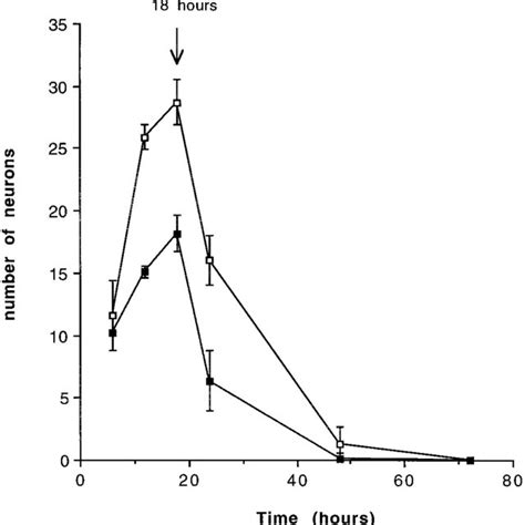 Distribution Of Neurite Length Of 100 Randomly Selected Neurons