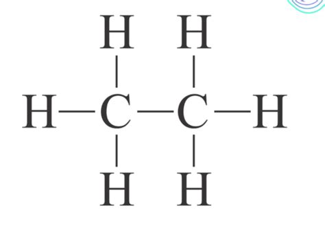 Fichas De Aprendizaje Biology B11 Carbs And Lipids Quizlet