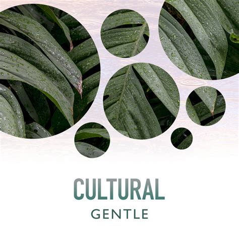 Zzz Cultural Gentle Rain Compositions Zzz Album By Asmr Rain Sounds