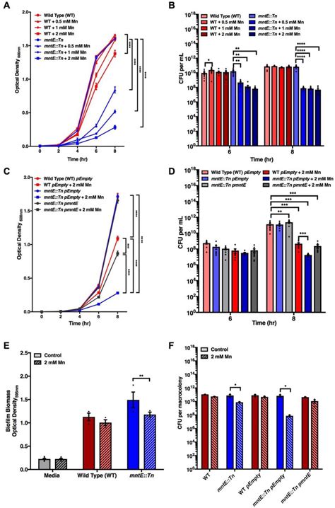 Biofilm Cell Pellet Millipore Bioz