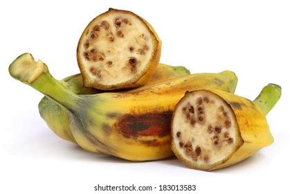 808 Wild banana seeds Images, Stock Photos & Vectors | Shutterstock