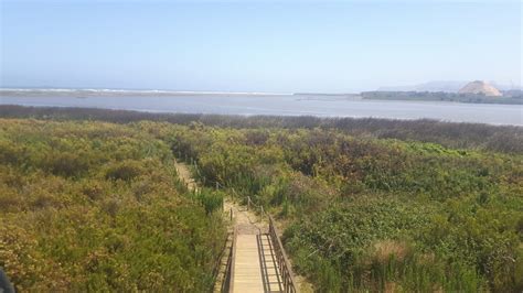 Santuario De La Naturaleza Humedal R O Maipo Simbio