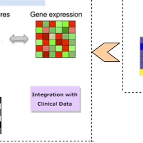 Radiomics Workflow A Diagram Illustrating The Various Steps Involved Download Scientific