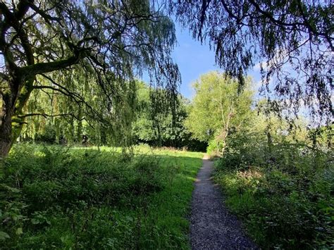 Path At Holmer Lake Telford Mat Fascione Cc By Sa 2 0 Geograph