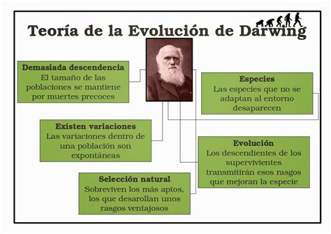 Diagrama De Venn De Charles Darwin Y Alfred Wallace Comparat