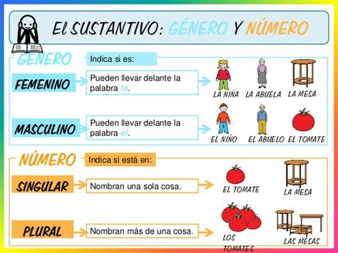 El Aula De Pt De Luci El Sustantivo