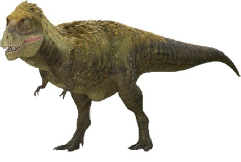 Dino Dan Tyrannosaurus Rex