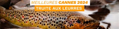 Les Meilleures Cannes Truite pour la pêche aux leurres en 2024