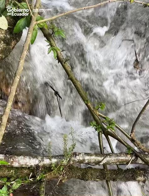 Min De Ambiente Agua Y Transici N Ecol Gica On Twitter Sumamos