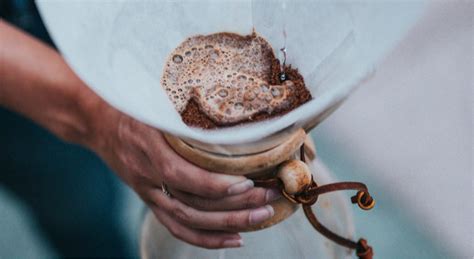 Byron Bay Coffee Company