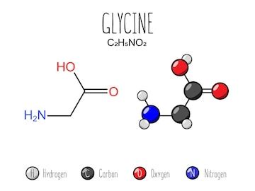 Premium Vector | Glycine amino acid representation