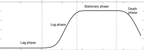 Phases of a typical bacterial growth curve. See the main text for a ...