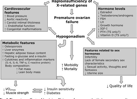 Figure 1 From Turner Syndrome And Clinical Treatment Semantic Scholar