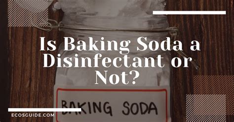 The Great Debate - Is Baking Soda A Disinfectant Or Not?