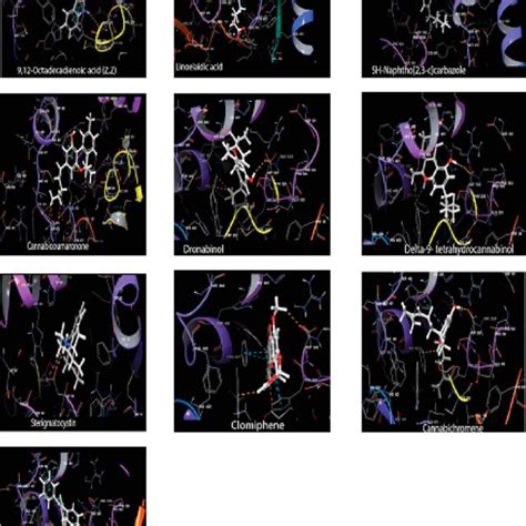 Flexible Docking Results Showing The 3D Interaction Of The Compounds