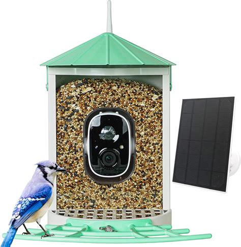 Amazon Birdkiss Smart Bird Feeder With Camera Solar Powered