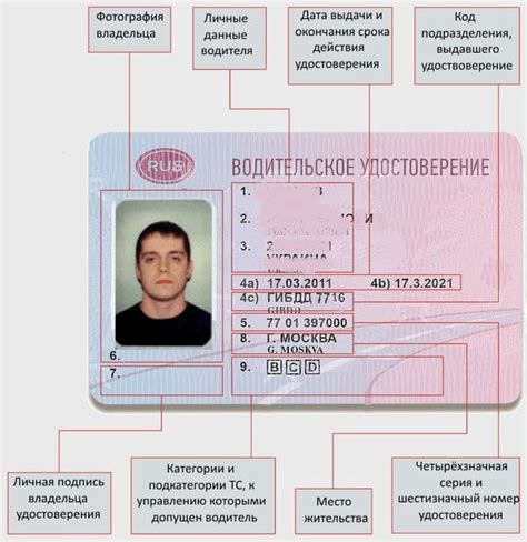 Фото армянские водительские права
