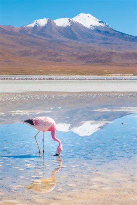 Uyuni Salt Flats Photography Uyuni Salt Flats Photography Salar De