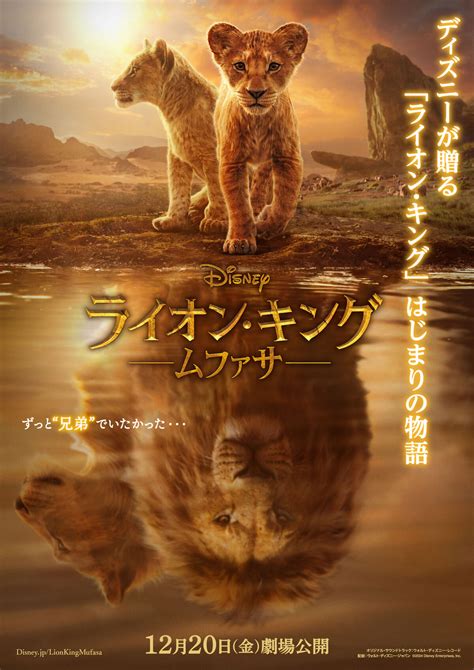 シンバの父・ムファサ王の＜始まりの物語＞！ディズニー映画 超実写吹替版『ライオン・キング：ムファサ』