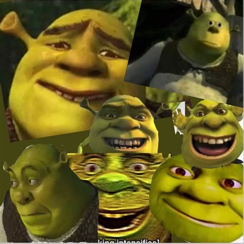 My Beautiful Shrek Collage👌👌👌👌👌👌👌 Shrek Fictional Characters Beautiful