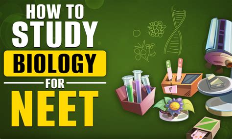 How To Study Biology For Neet 2024 Ug Exam