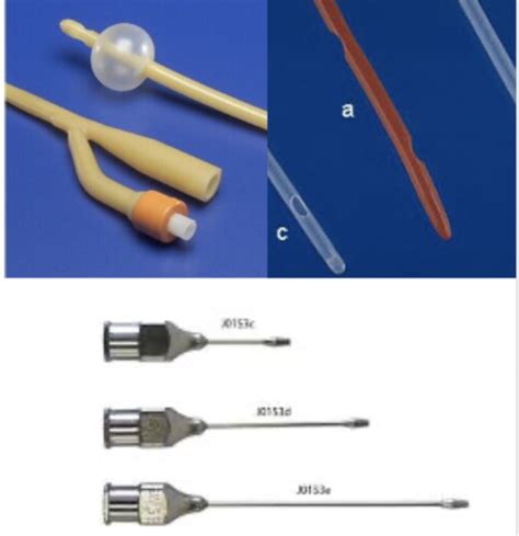 Urinary Catheter Indication Placement Maintenance Flashcards Quizlet