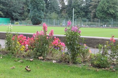 bowls bridgend tennis squash  bowls club